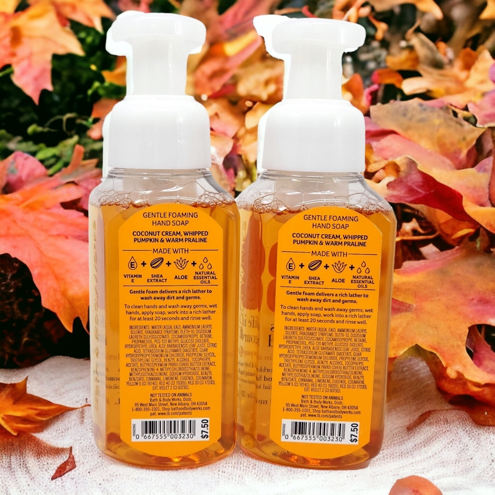 Fall Pumpkin Coconut Latte Gentle Foaming Hand Soap 2 New Bottles, Life is Gourd - Picture 2 of 3